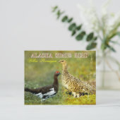 Alaska Staat Bird - Willow Ptarmigan Postkarte (Stehend Vorderseite)