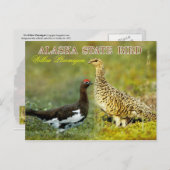 Alaska Staat Bird - Willow Ptarmigan Postkarte (Vorne/Hinten)