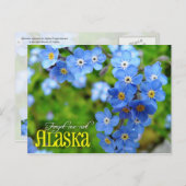 Alaska Staat Blume: Vergessen Sie nicht Postkarte (Vorne/Hinten)