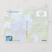 Alaska Staat Blume: Vergessen Sie nicht Postkarte (Rückseite)