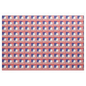 ALASKA STOFF (Yard (91,4 cm))