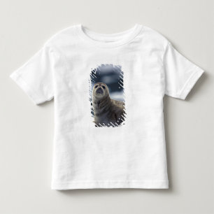 Alaska, Südost-Region Seehund auf Eis Kleinkind T-shirt