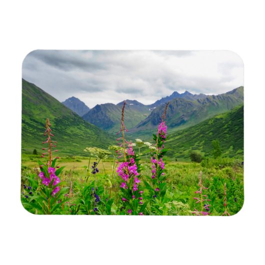 Alaska-Tal-Wildblumen Magnet (Horizontal)