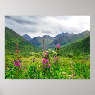 Alaska-Tal-Wildblumen Poster