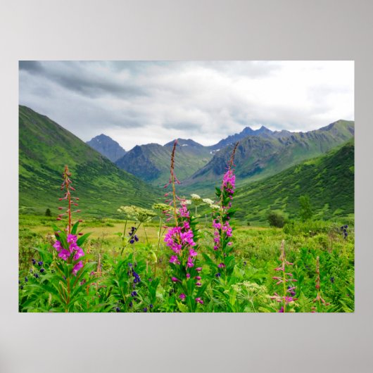 Alaska-Tal-Wildblumen Poster (Vorne)
