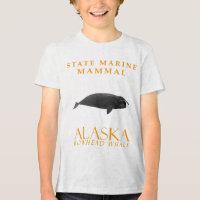 Alaska Territory Meeressäuger Der Grönlandwal