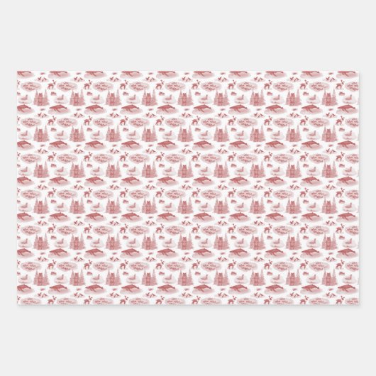 Alaska Toile Wrapping Paper Geschenkpapier Set (Vorderseite)