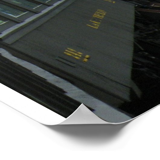 Alaska Train Adventure Poster (Ecke)