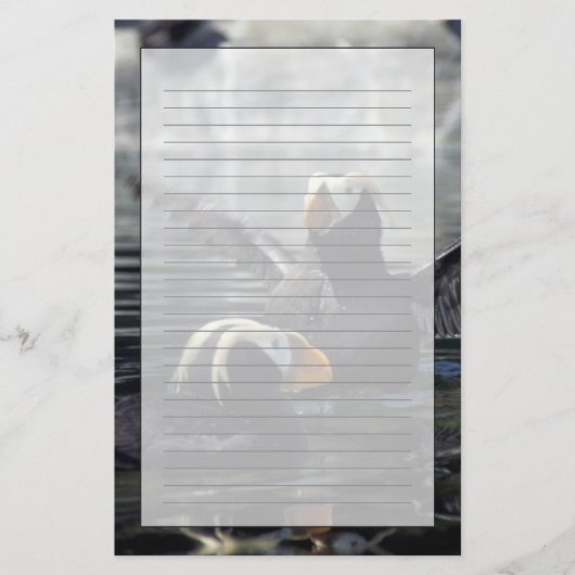 Alaska Tufted Puffins Briefpapier (Vorderseite)