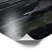 Alaska Tufted Puffins Fotodruck (Ecke)