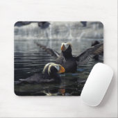 Alaska Tufted Puffins Mousepad (Mit Mouse)