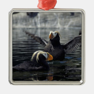 Alaska Tufted Puffins Ornament Aus Metall