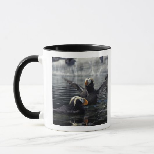 Alaska Tufted Puffins Tasse (Links)