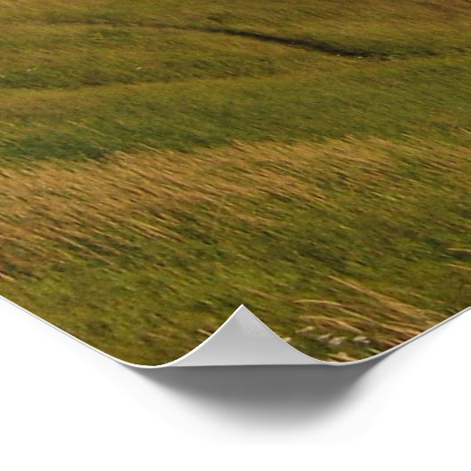 Alaska Turnagain Arm Poster (Ecke)