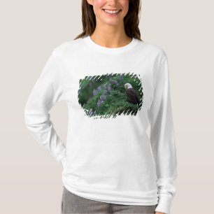 Alaska, Unalaska-Insel Weißkopfseeadler unter Noot T-Shirt