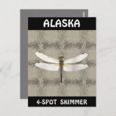 Alaska Vier Spot Skimmer Dragonfly Postkarte (Vorne/Hinten)