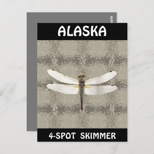 Alaska Vier Spot Skimmer Dragonfly Postkarte (Vorne/Hinten)