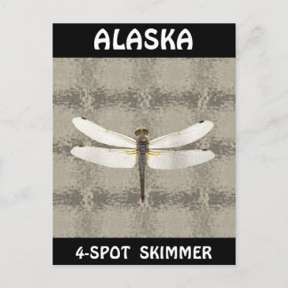 Alaska Vier Spot Skimmer Dragonfly Postkarte