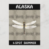 Alaska Vier Spot Skimmer Dragonfly Postkarte (Vorderseite)