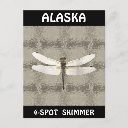 Alaska Vier Spot Skimmer Dragonfly Postkarte (Vorderseite)