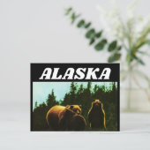 ALASKA VINTAGE GRIZZLY BEAR POSTCARD POSTKARTE (Stehend Vorderseite)