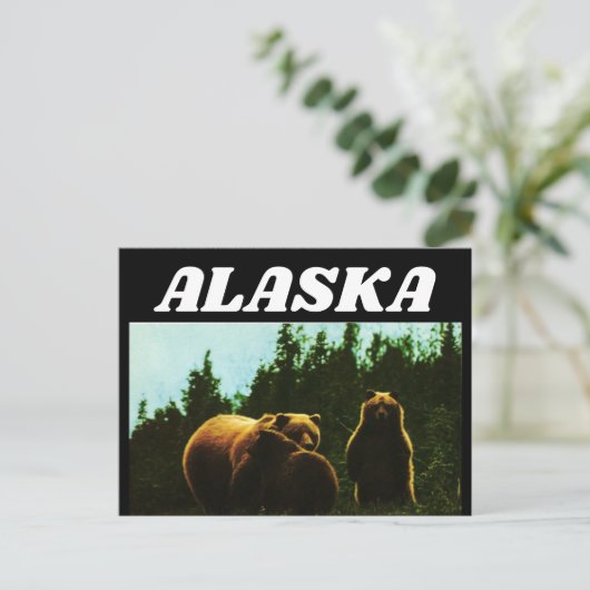 ALASKA VINTAGE GRIZZLY BEAR POSTCARD POSTKARTE (Stehend Vorderseite)