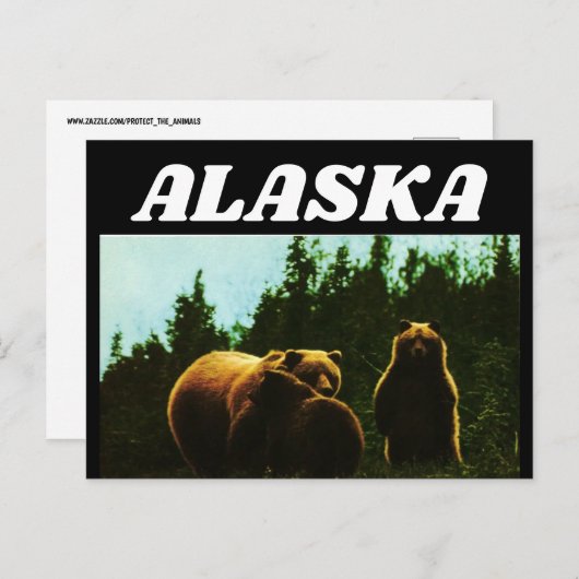 ALASKA VINTAGE GRIZZLY BEAR POSTCARD POSTKARTE (Vorne/Hinten)