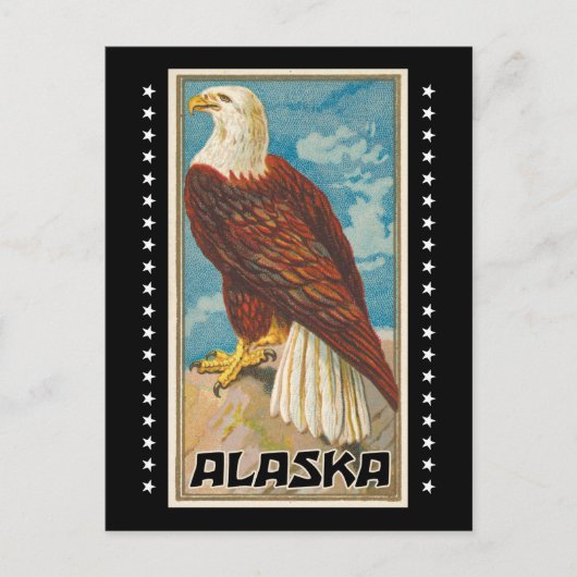 Alaska - Vintager Adler Postkarte (Vorderseite)