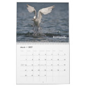 Alaska-Vögel Kalender (Mär 2027)