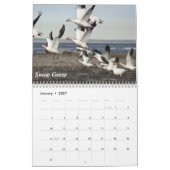 Alaska-Vögel Kalender (Jan 2027)