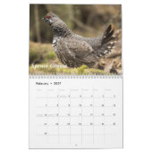 Alaska-Vögel Kalender (Feb 2027)