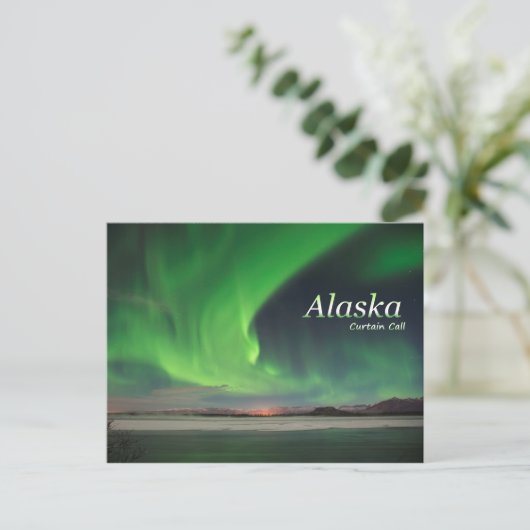 Alaska-Vorhang-Ruf Postkarte (Stehend Vorderseite)