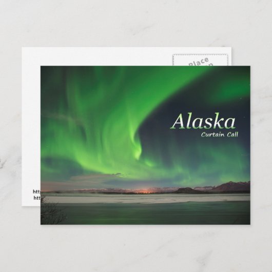 Alaska-Vorhang-Ruf Postkarte (Vorne/Hinten)
