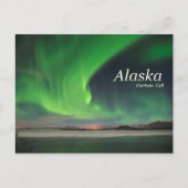 Alaska-Vorhang-Ruf Postkarte (Vorderseite)