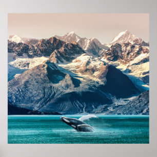 Alaska Walbeobachtung: Bootsausflug. Poster