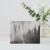 Alaska-Waldbrand in den 40er Jahren Postkarte (Stehend Vorderseite)
