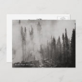 Alaska-Waldbrand in den 40er Jahren Postkarte (Vorne/Hinten)