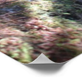 Alaska-Waldweg Poster (Ecke)