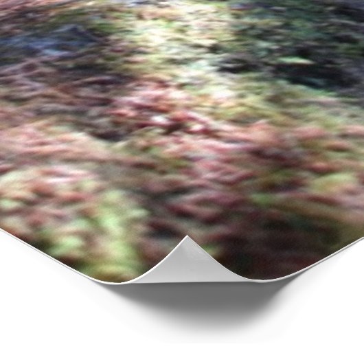 Alaska-Waldweg Poster (Ecke)