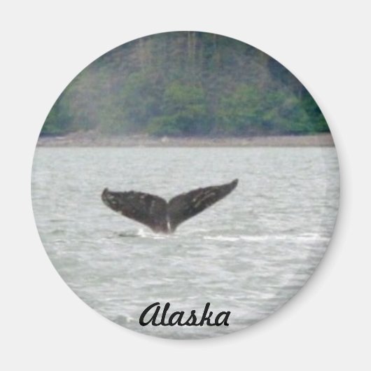Alaska Whale Schwanz Magnet (Vorne)