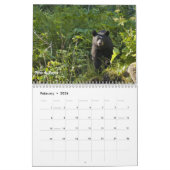 Alaska-wild lebende Tiere Kalender (Feb 2026)
