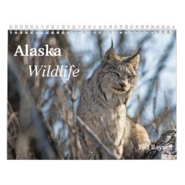 Alaska-wild lebende Tiere Kalender