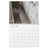 Alaska-wild lebende Tiere Kalender (Mär 2027)