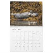 Alaska-wild lebende Tiere Kalender (Jan 2027)