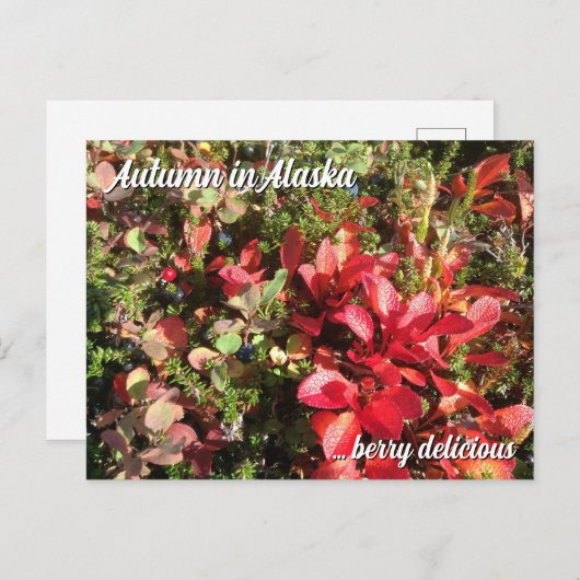 Alaska Wildberry Postcard Postkarte (Vorne/Hinten)