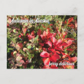 Alaska Wildberry Postcard Postkarte (Vorderseite)