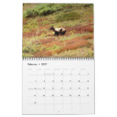 Alaska Wilderness Calendar Kalender (Feb 2027)