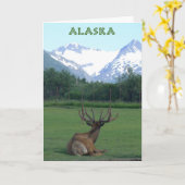 Alaska Wildlife Conservation Centre - Karte (Gelbe Blume)