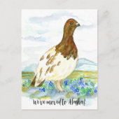 Alaska Willow Ptarmigan Bird kündigt an Postkarte (Vorderseite)