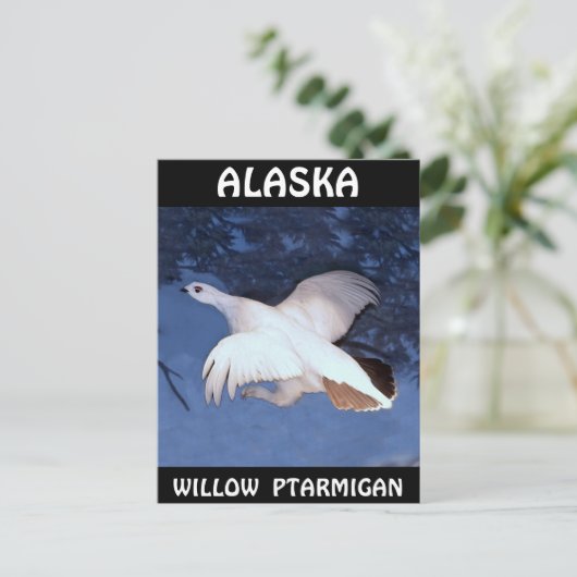 Alaska Willow Ptarmigan Postkarte (Stehend Vorderseite)